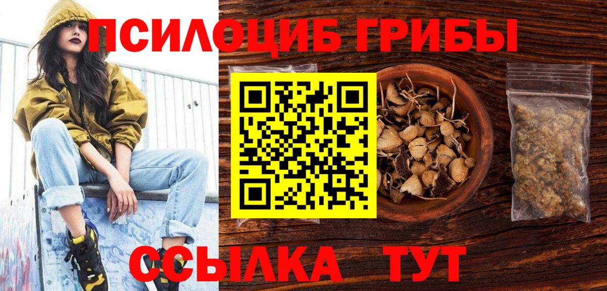 Галлюциногенные грибы Psilocybine cubensis  Вход с VPN  Гурьевск 