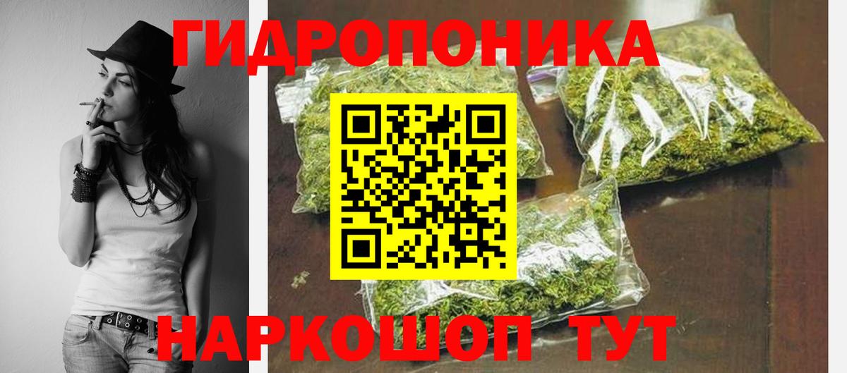 Канабис конопля Гурьевск